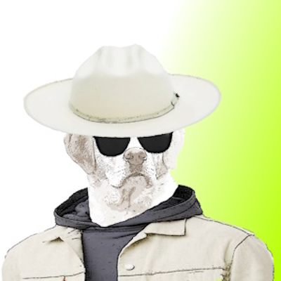 Digital Loyal Friends #1865